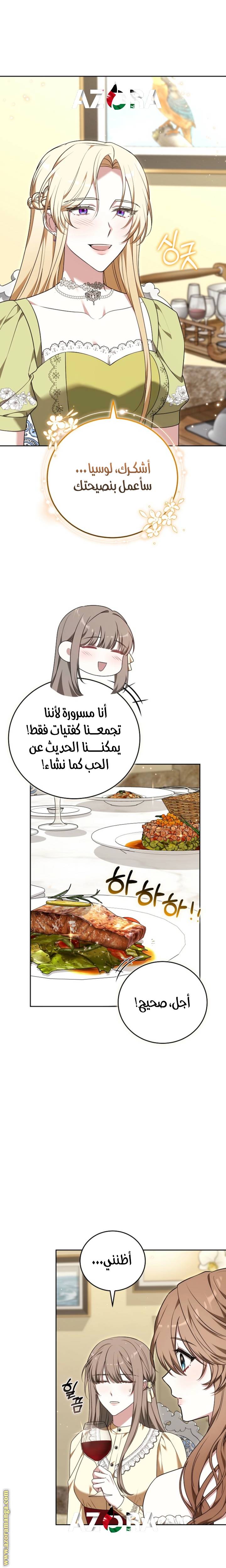 الصفحة 17