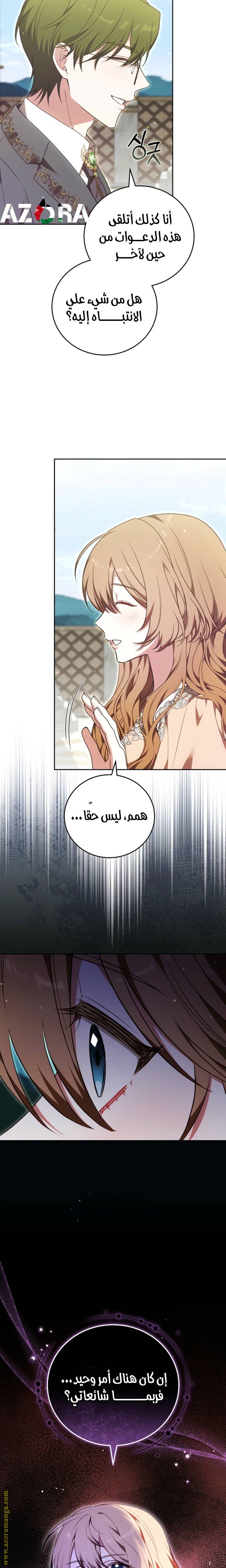 الصفحة 26
