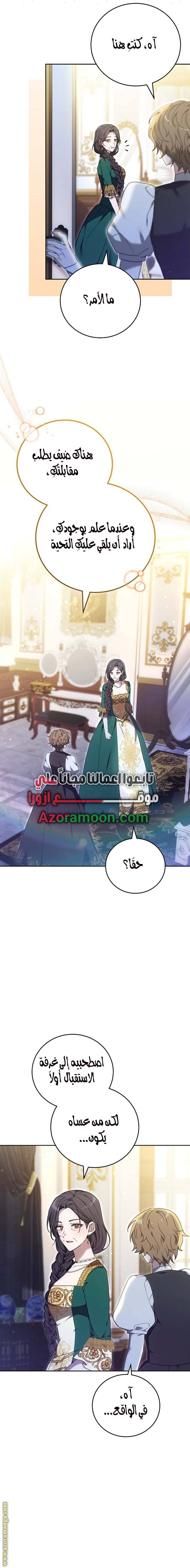 الصفحة 17