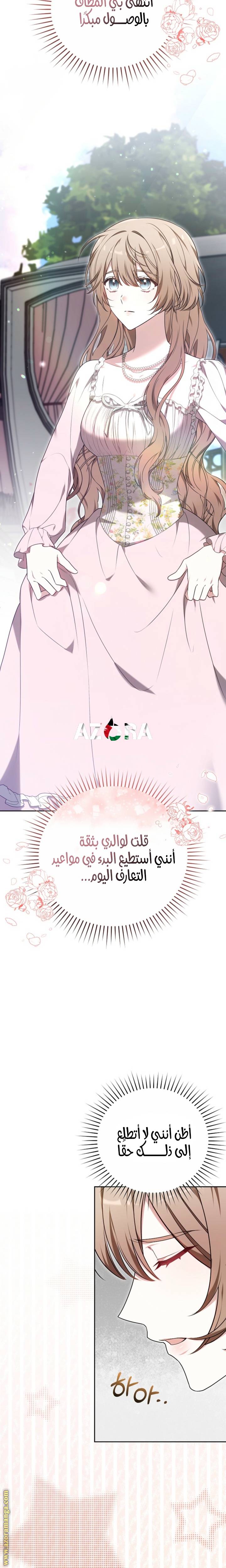 الصفحة 20