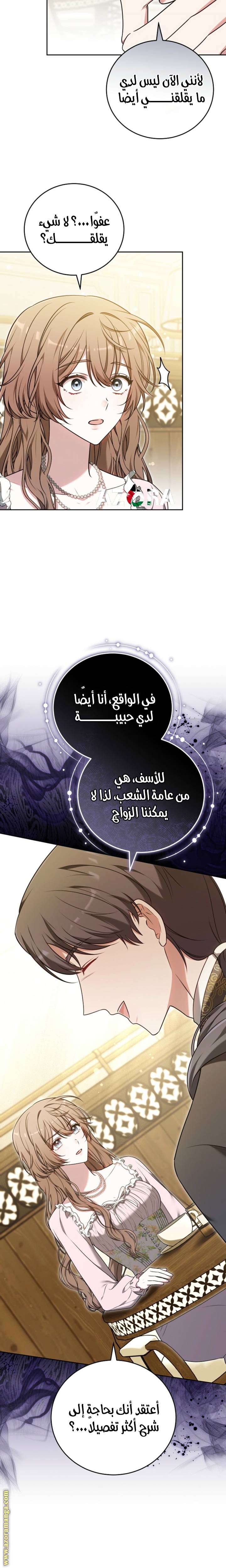 الصفحة 25