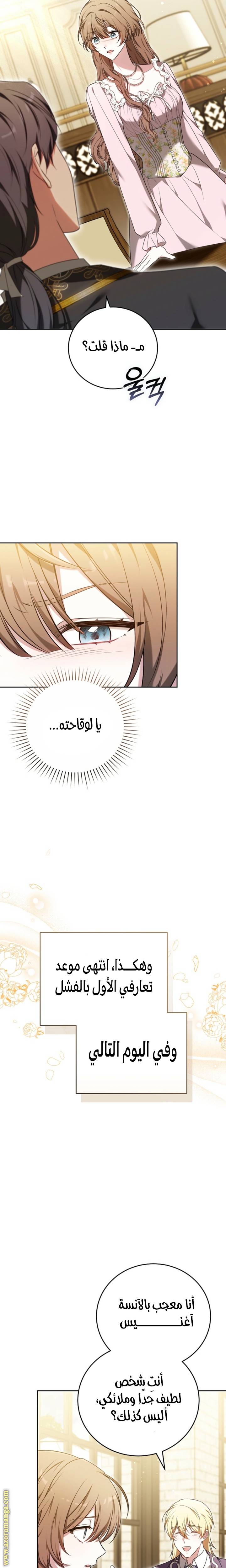 الصفحة 27