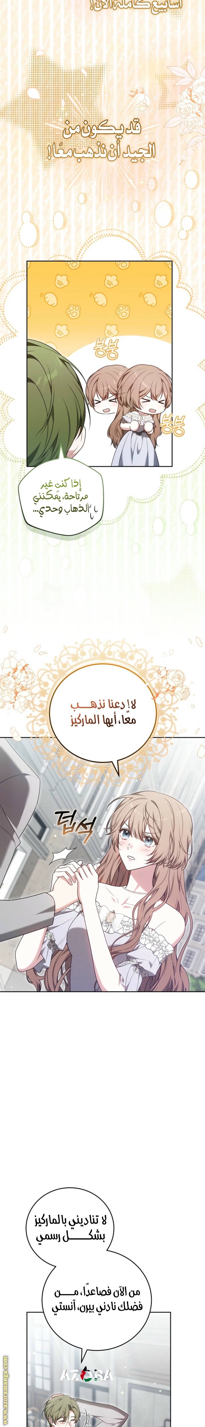 الصفحة 27