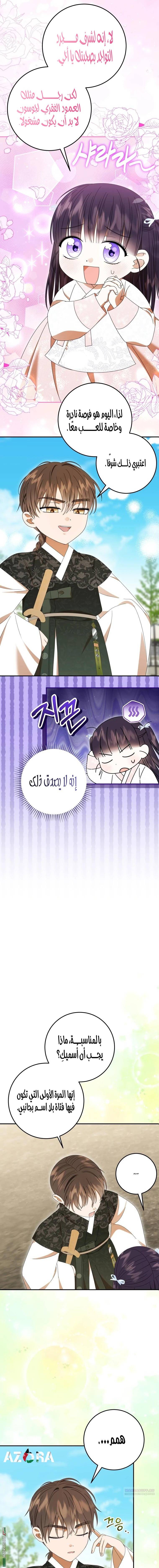 الصفحة 17