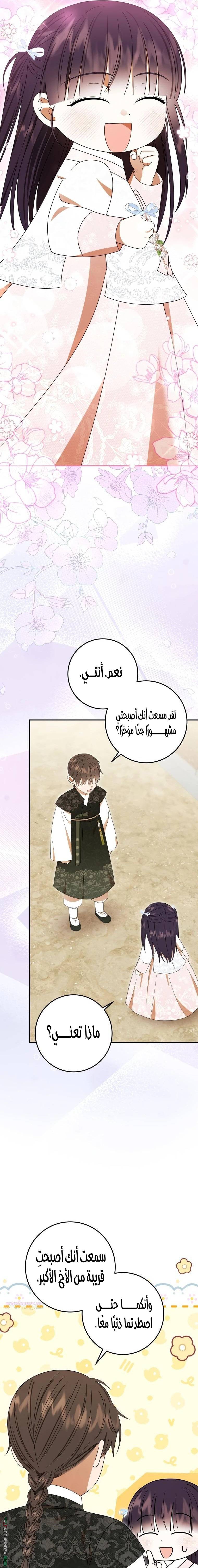 الصفحة 17