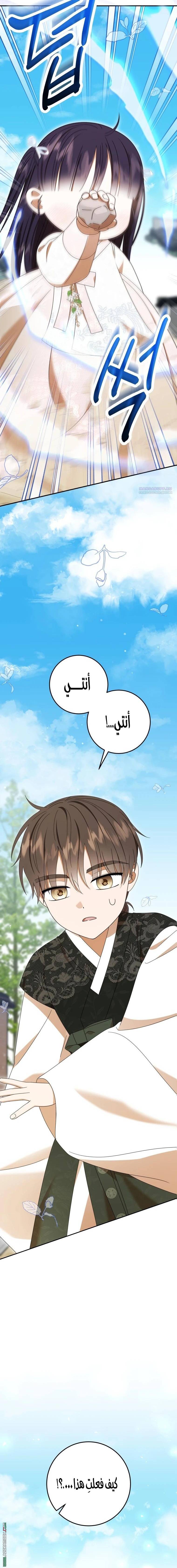 الصفحة 22
