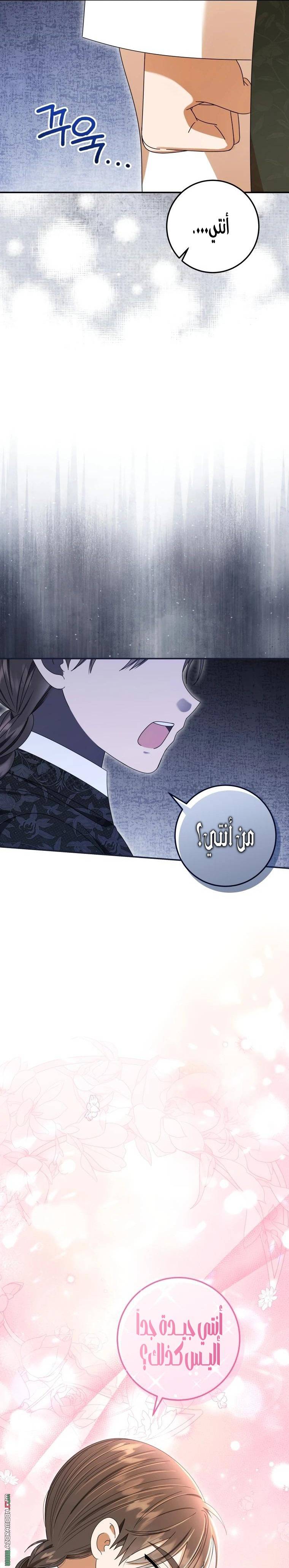 الصفحة 25