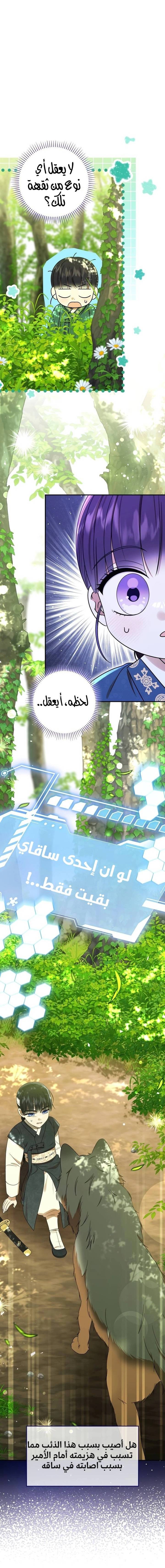 الصفحة 14