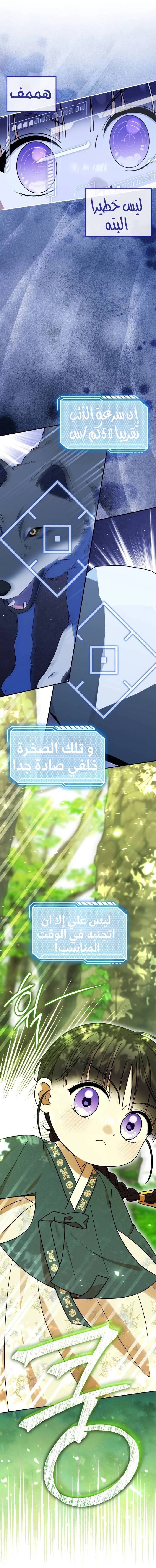 الصفحة 17