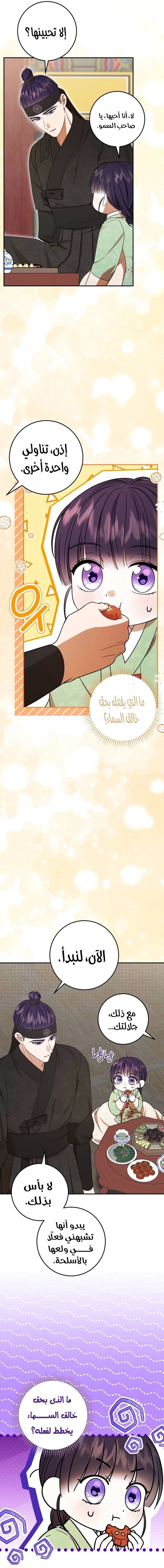 الصفحة 17