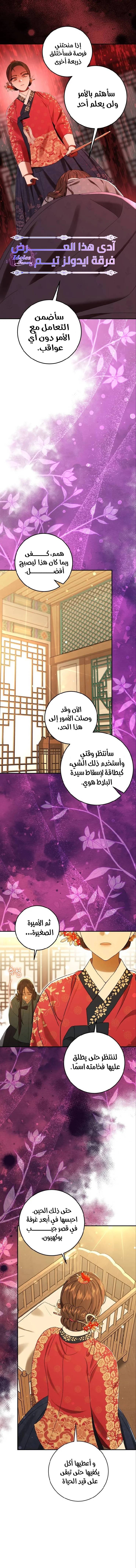 الصفحة 17