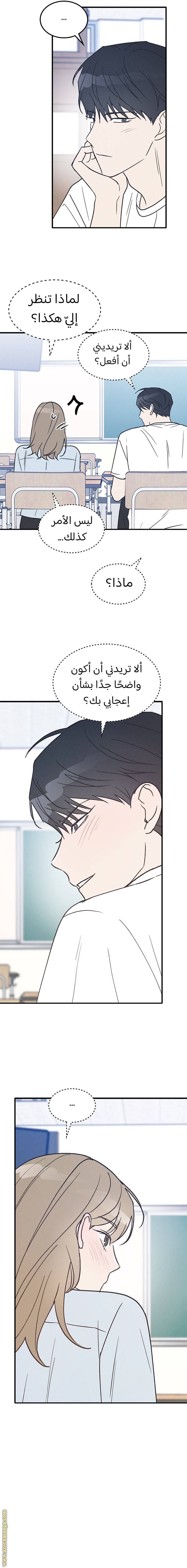 الصفحة 13