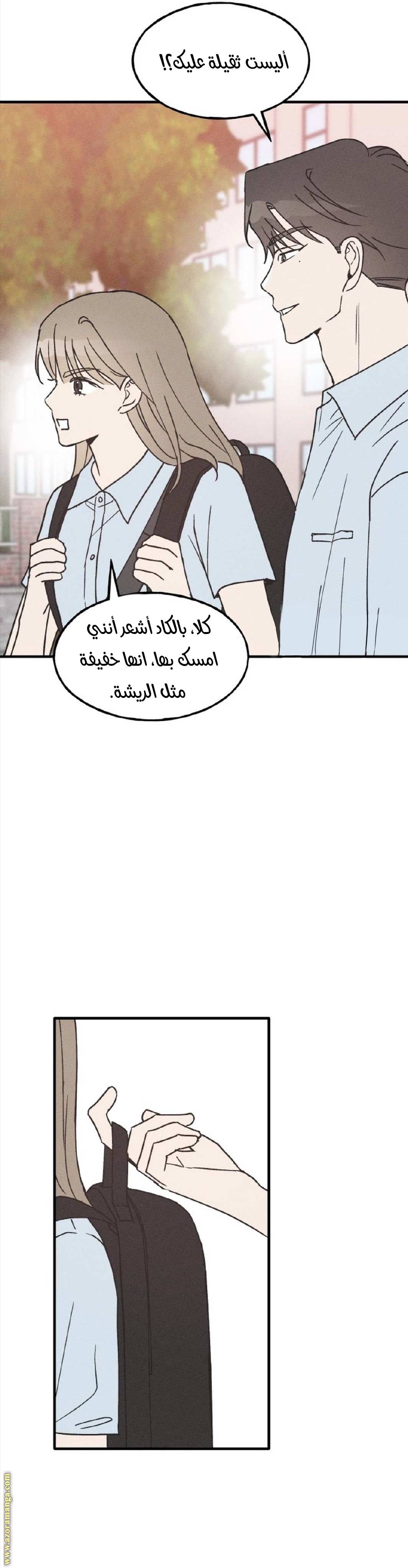 الصفحة 17