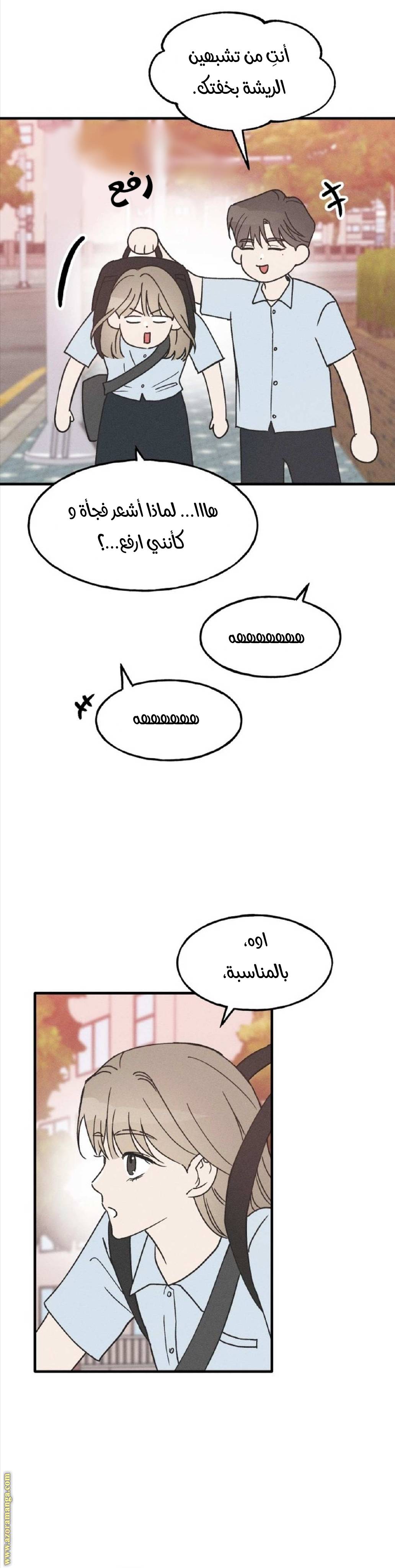 الصفحة 18