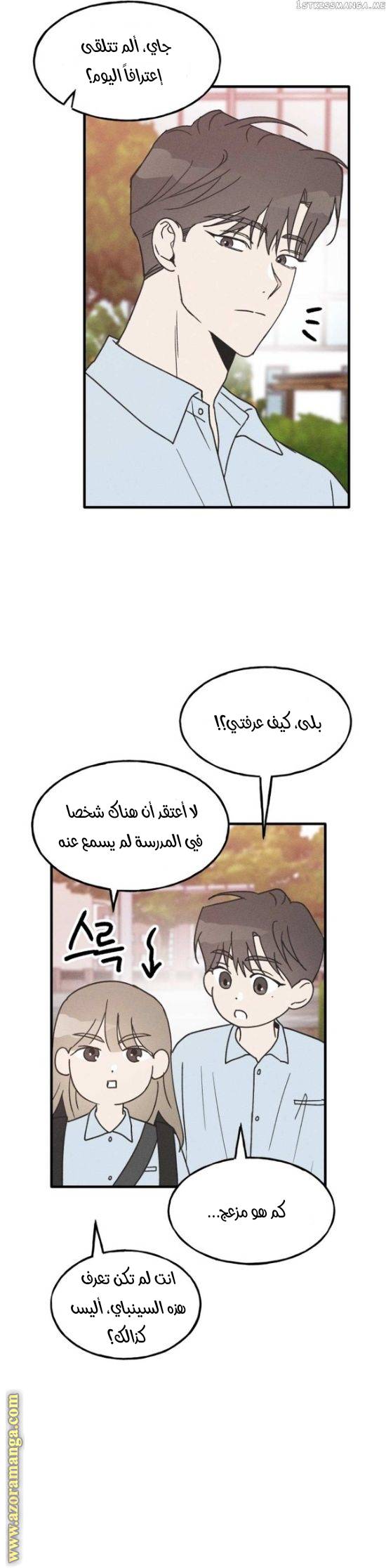 الصفحة 19