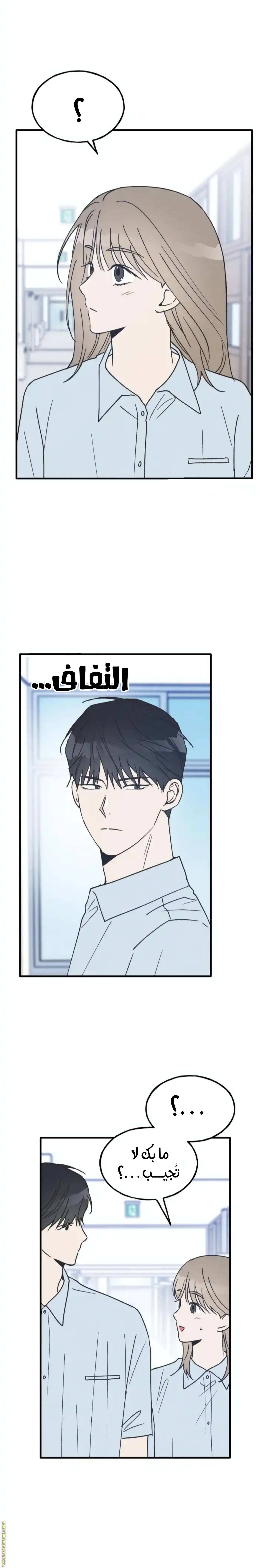 الصفحة 13