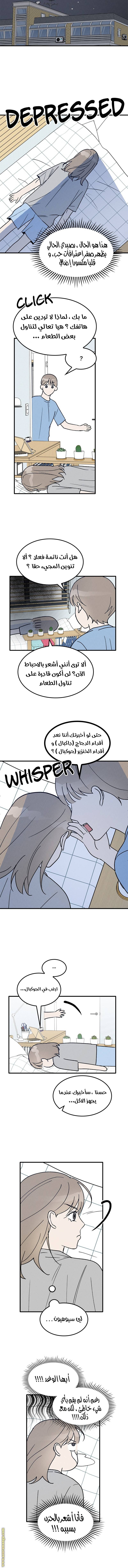 الصفحة 7