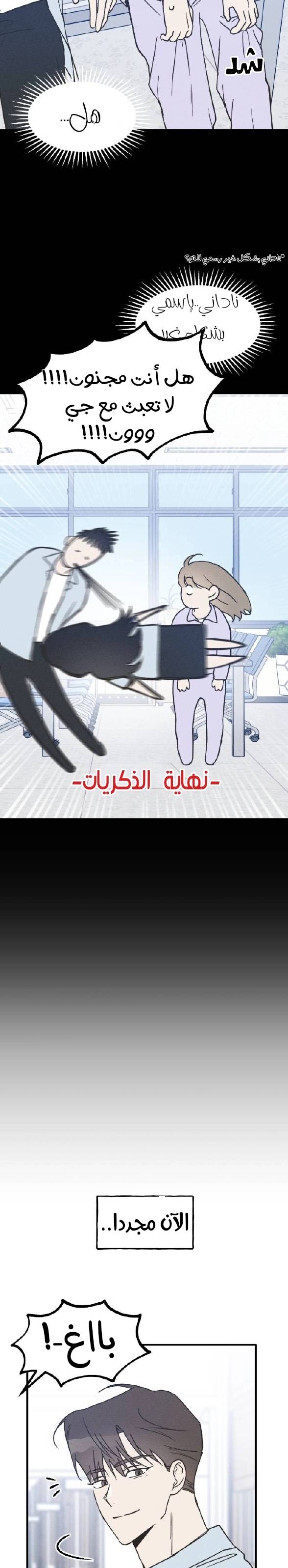 الصفحة 13