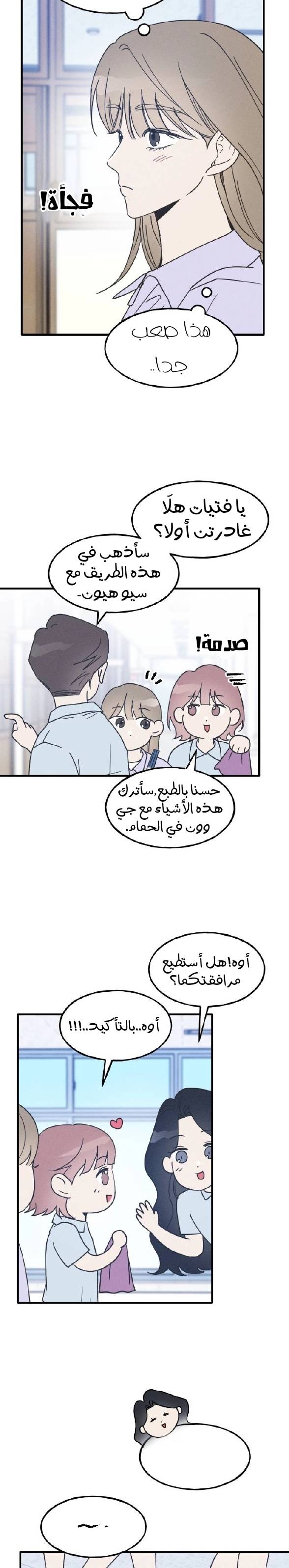 الصفحة 17