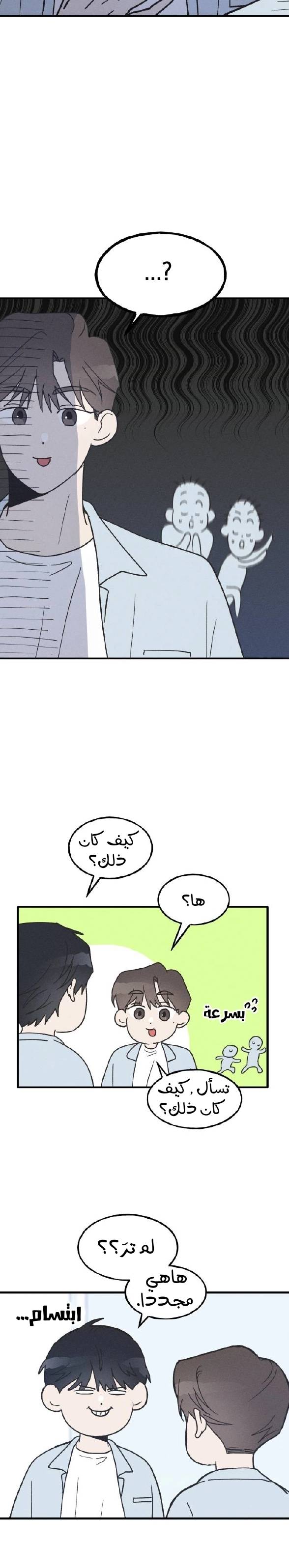 الصفحة 19