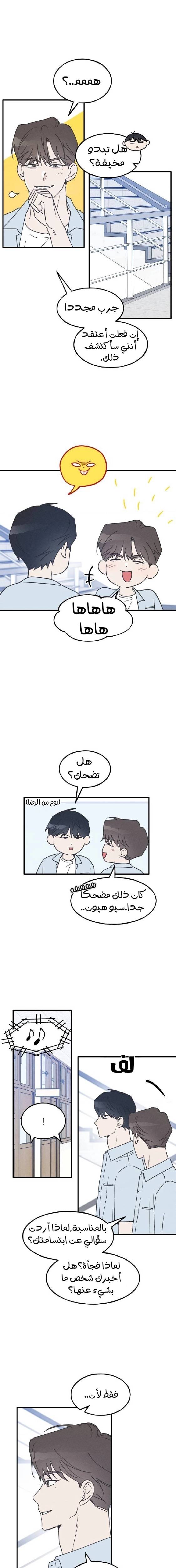 الصفحة 20