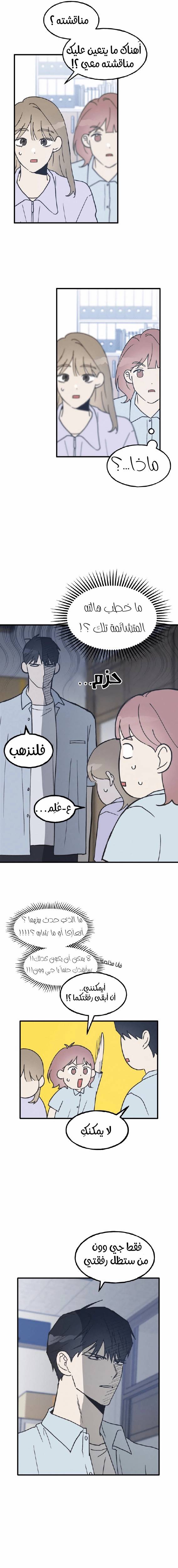 الصفحة 19