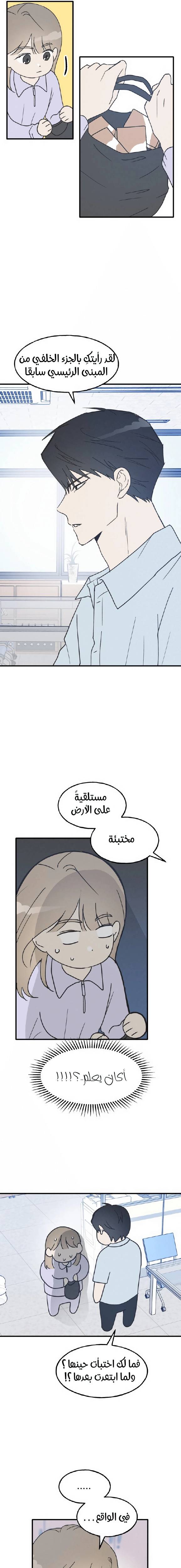 الصفحة 21