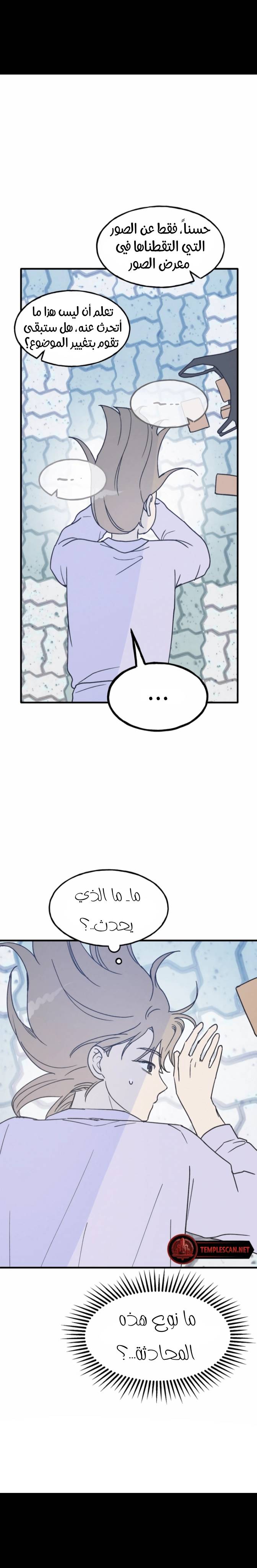 الصفحة 21