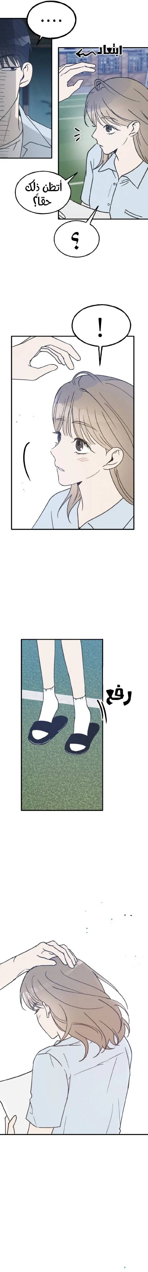 الصفحة 11