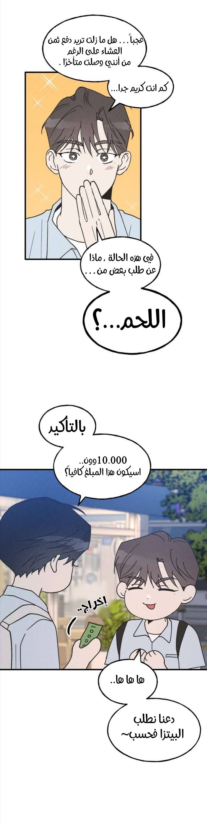الصفحة 3