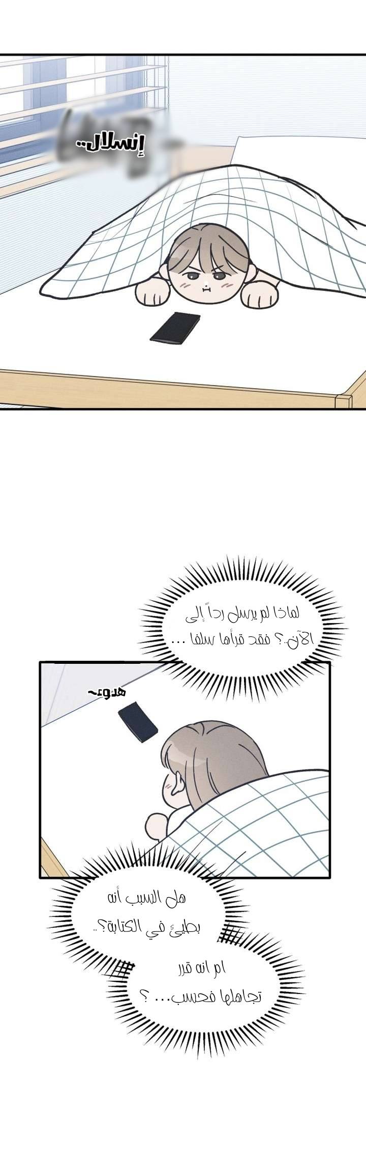 الصفحة 13
