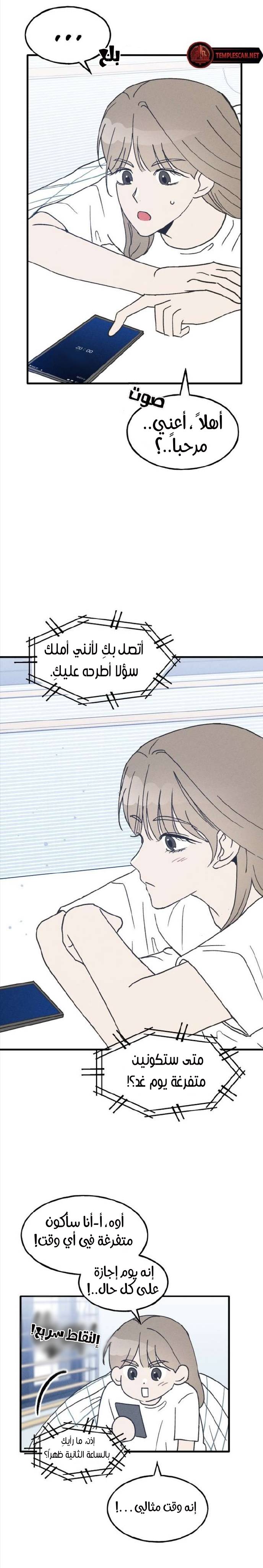 الصفحة 16