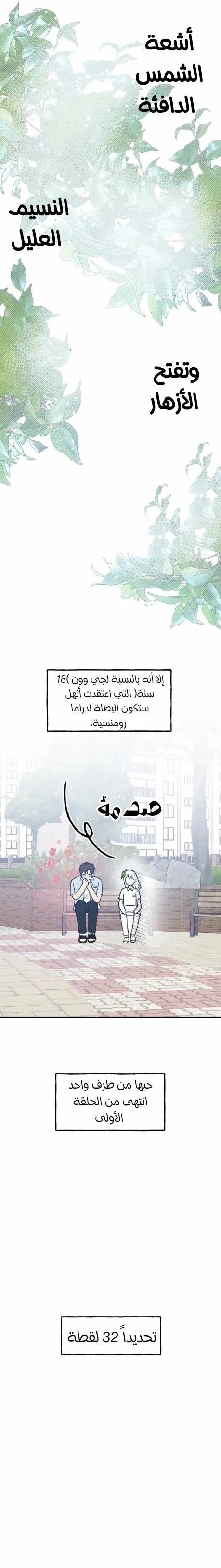 الصفحة 13
