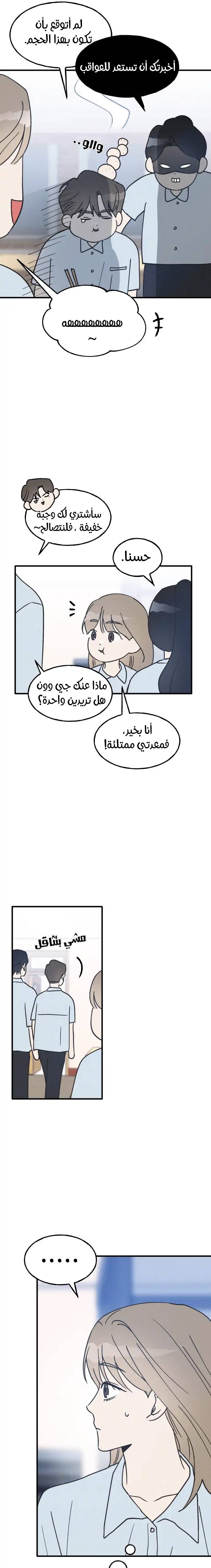 الصفحة 17