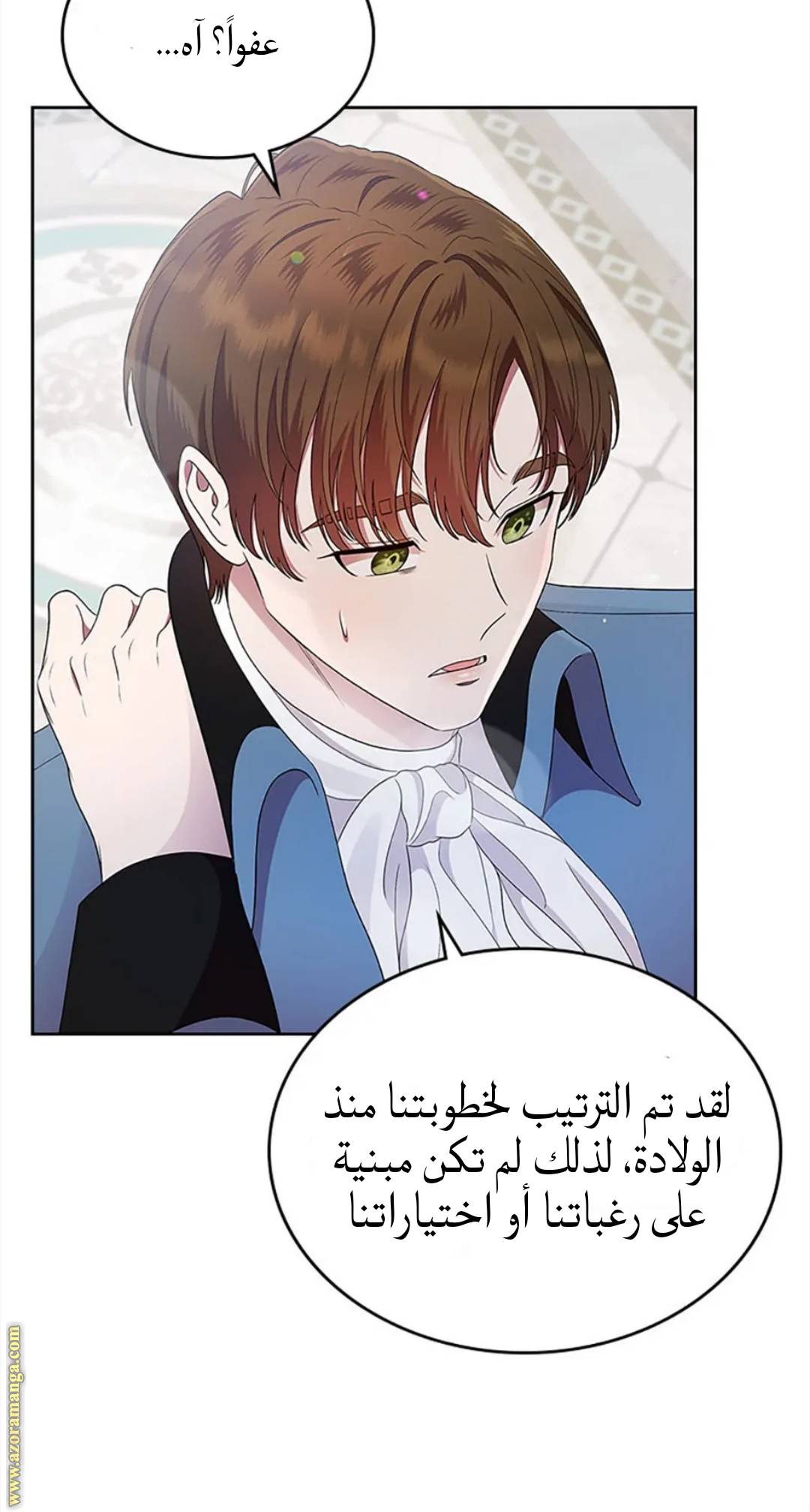 الصفحة 27