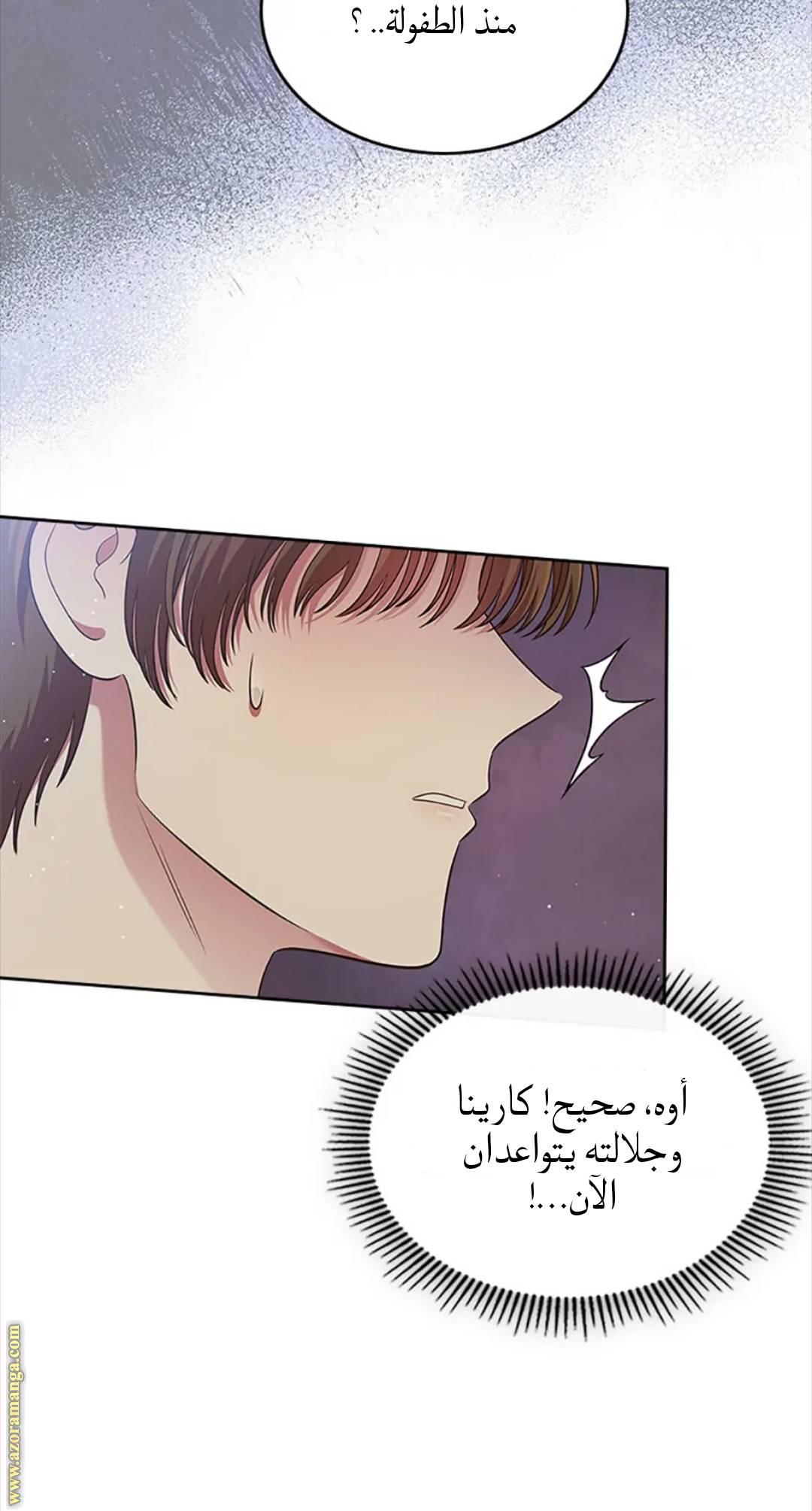 الصفحة 29