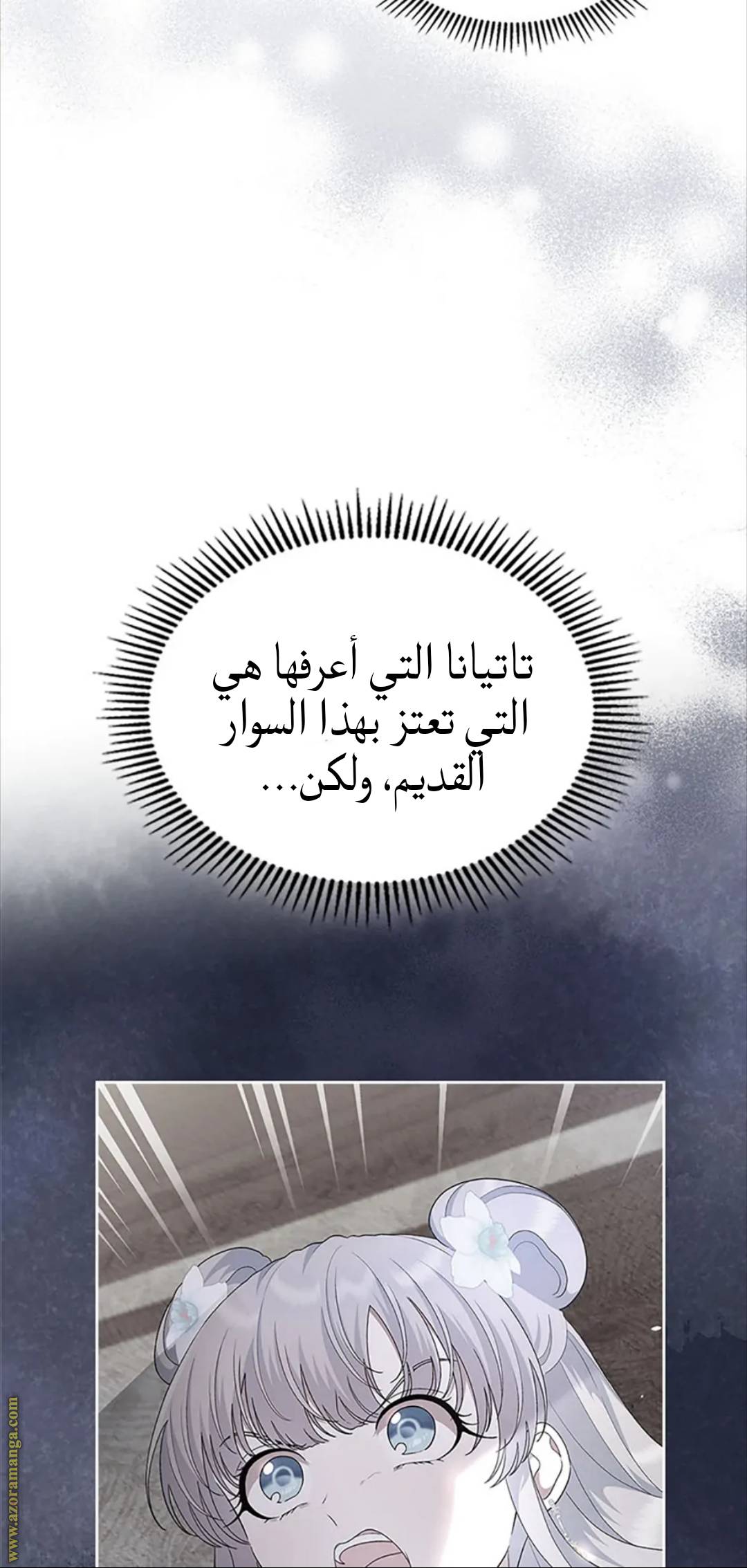 الصفحة 47