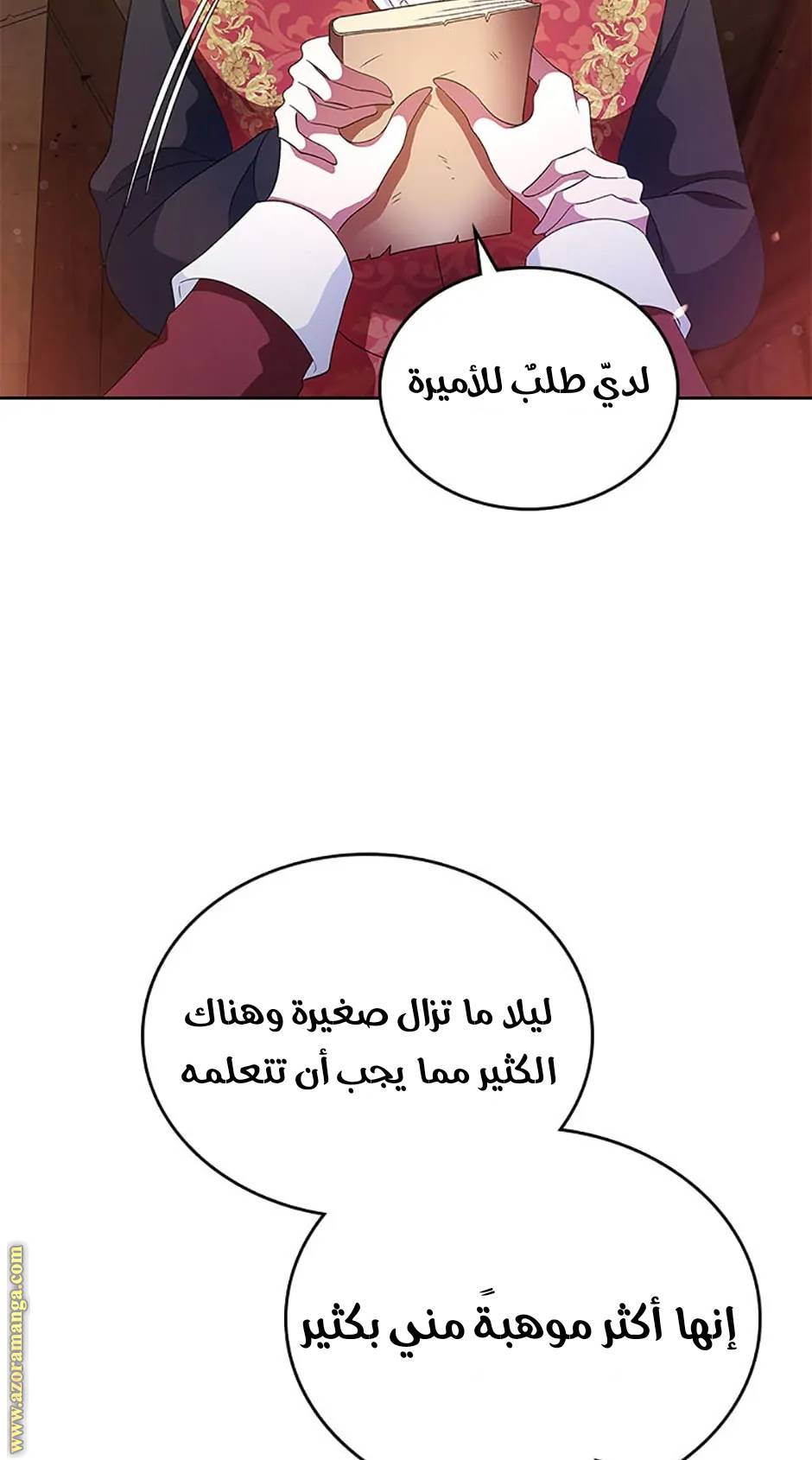الصفحة 29