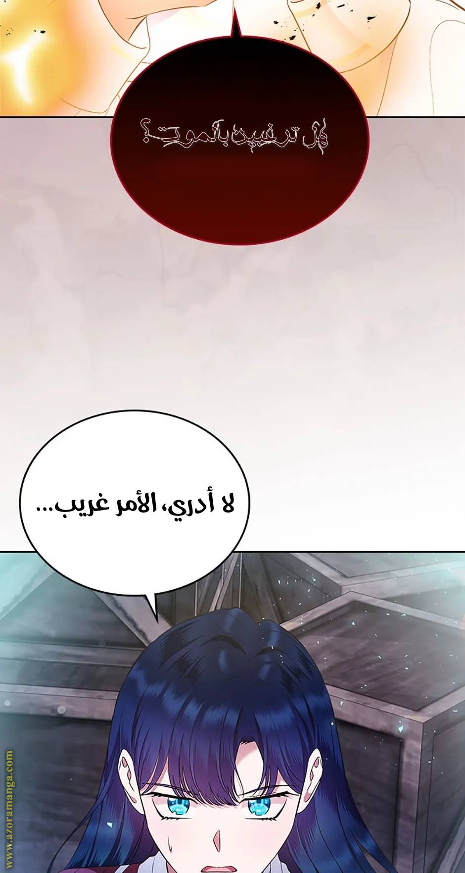 الصفحة 46