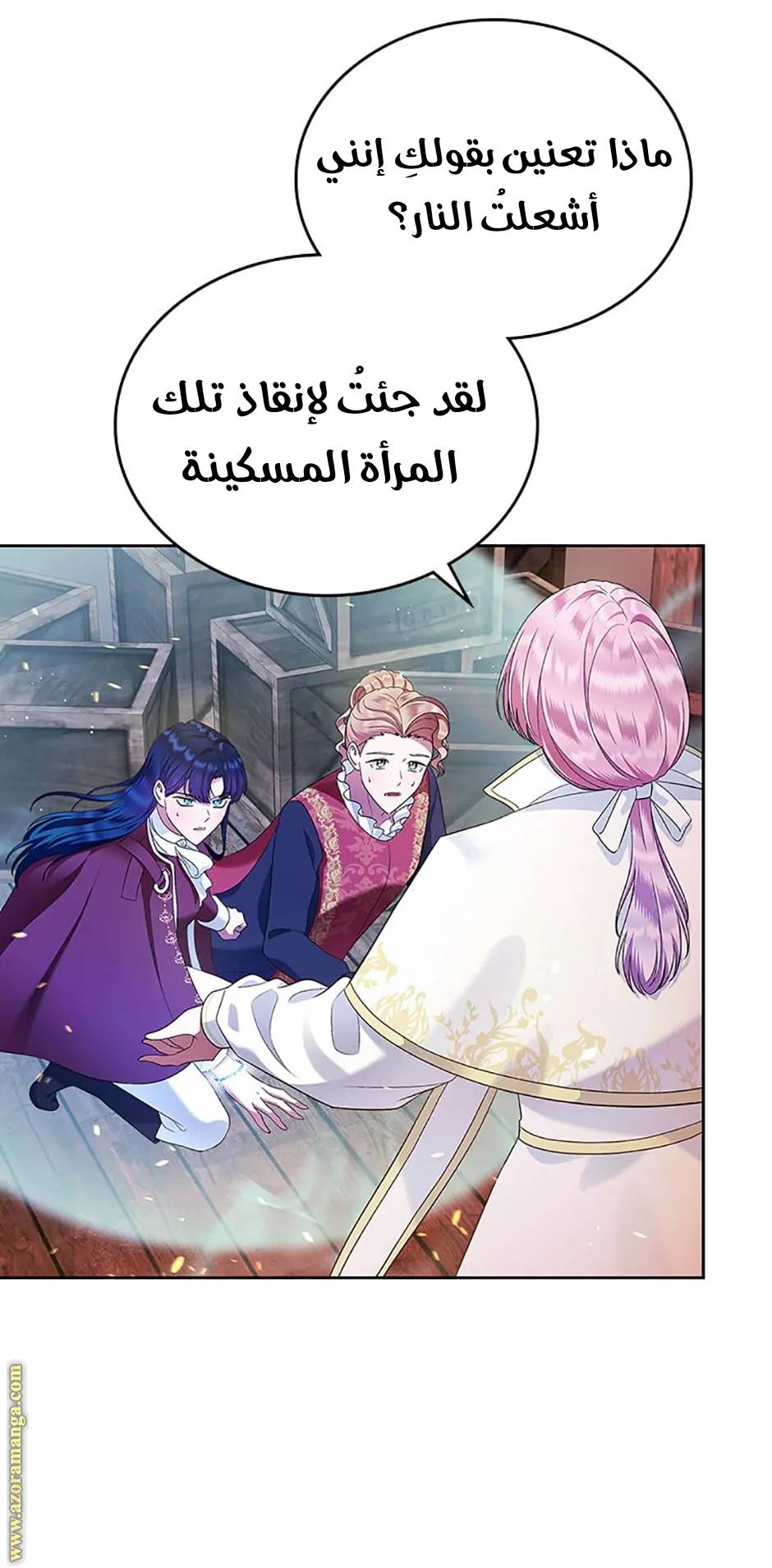 الصفحة 48