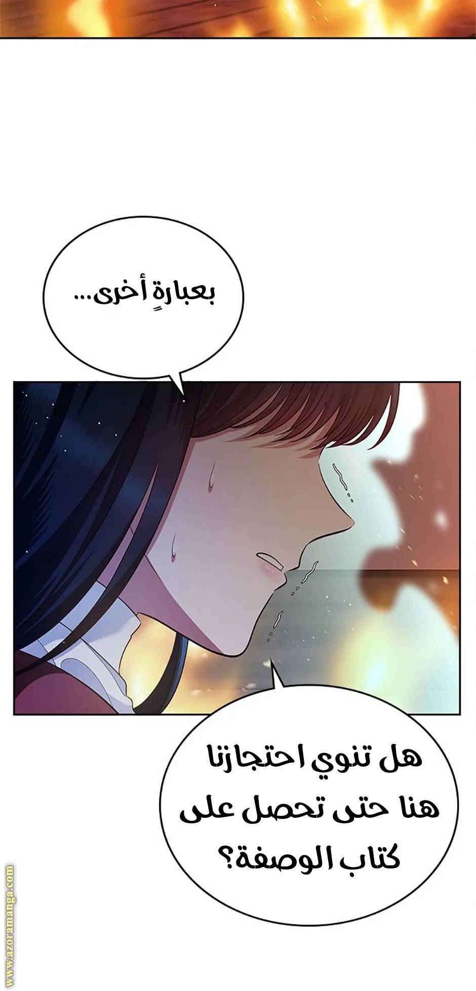 الصفحة 73