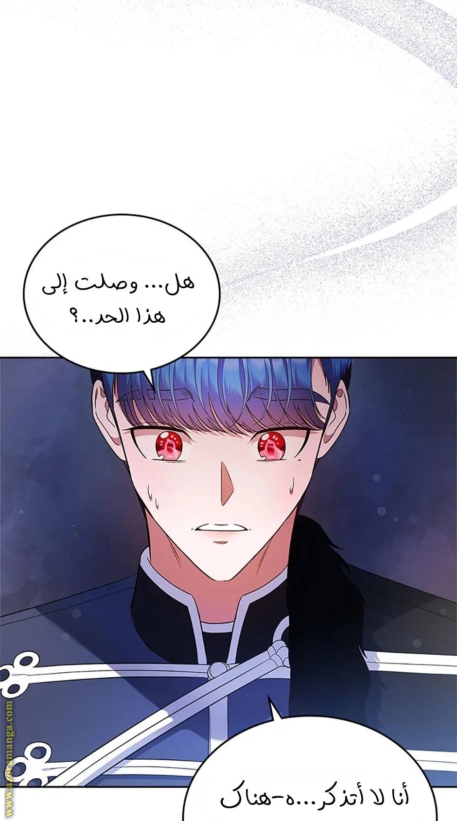 الصفحة 25