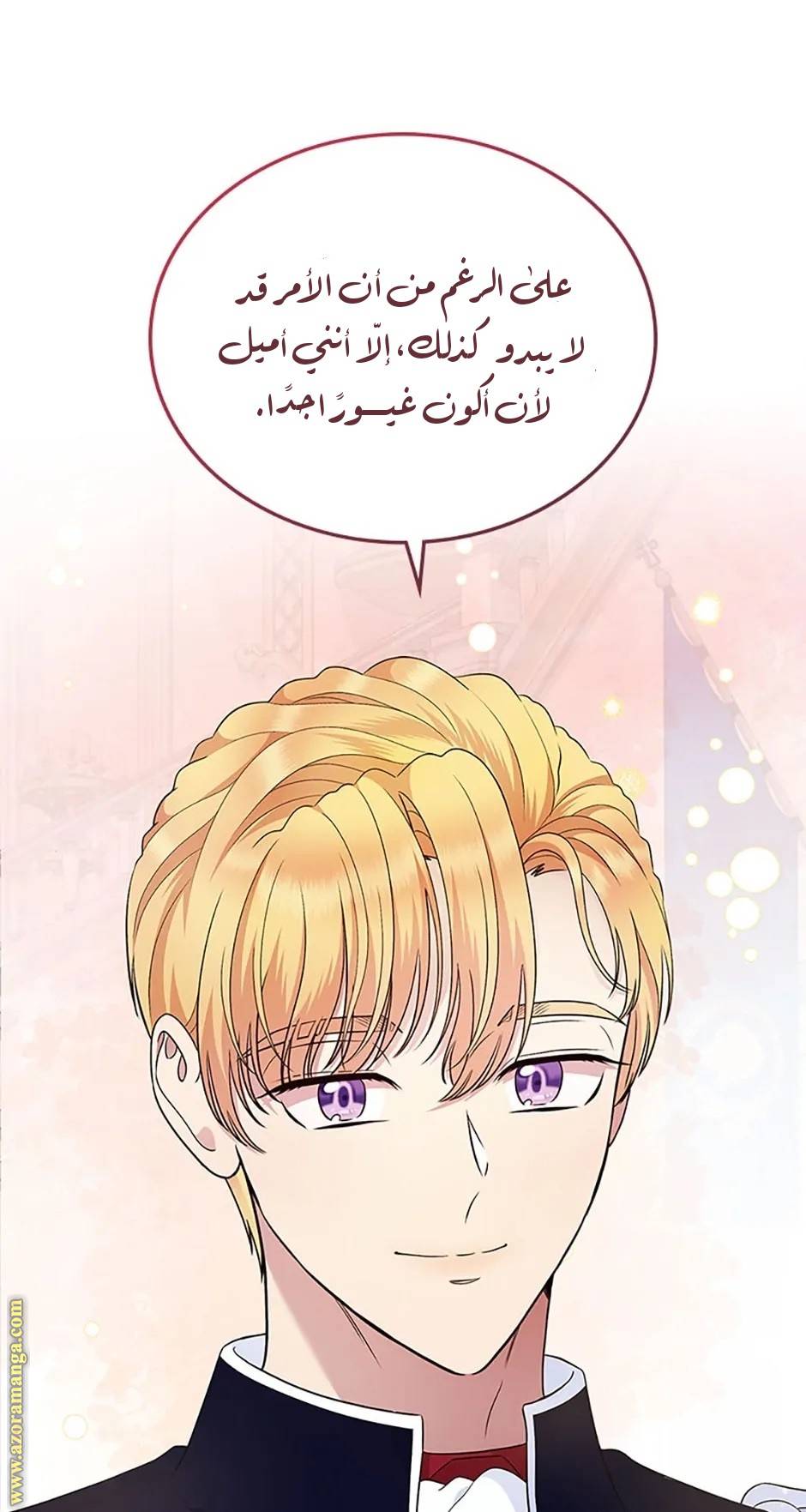 الصفحة 29