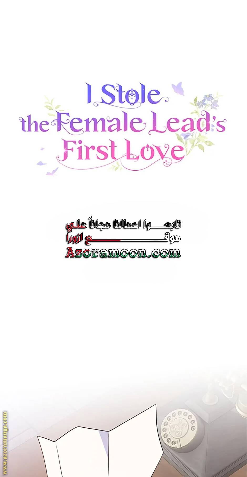 الصفحة 17