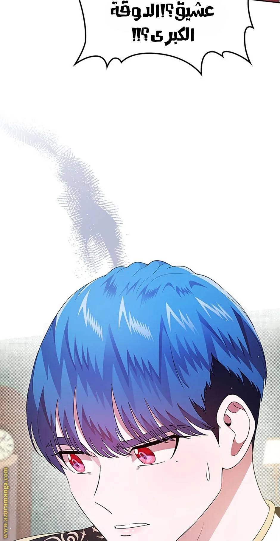 الصفحة 21