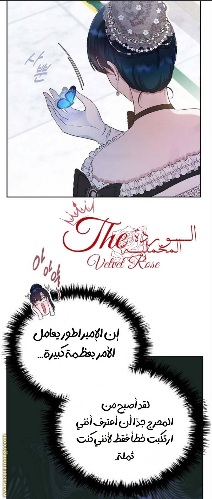 الصفحة 13