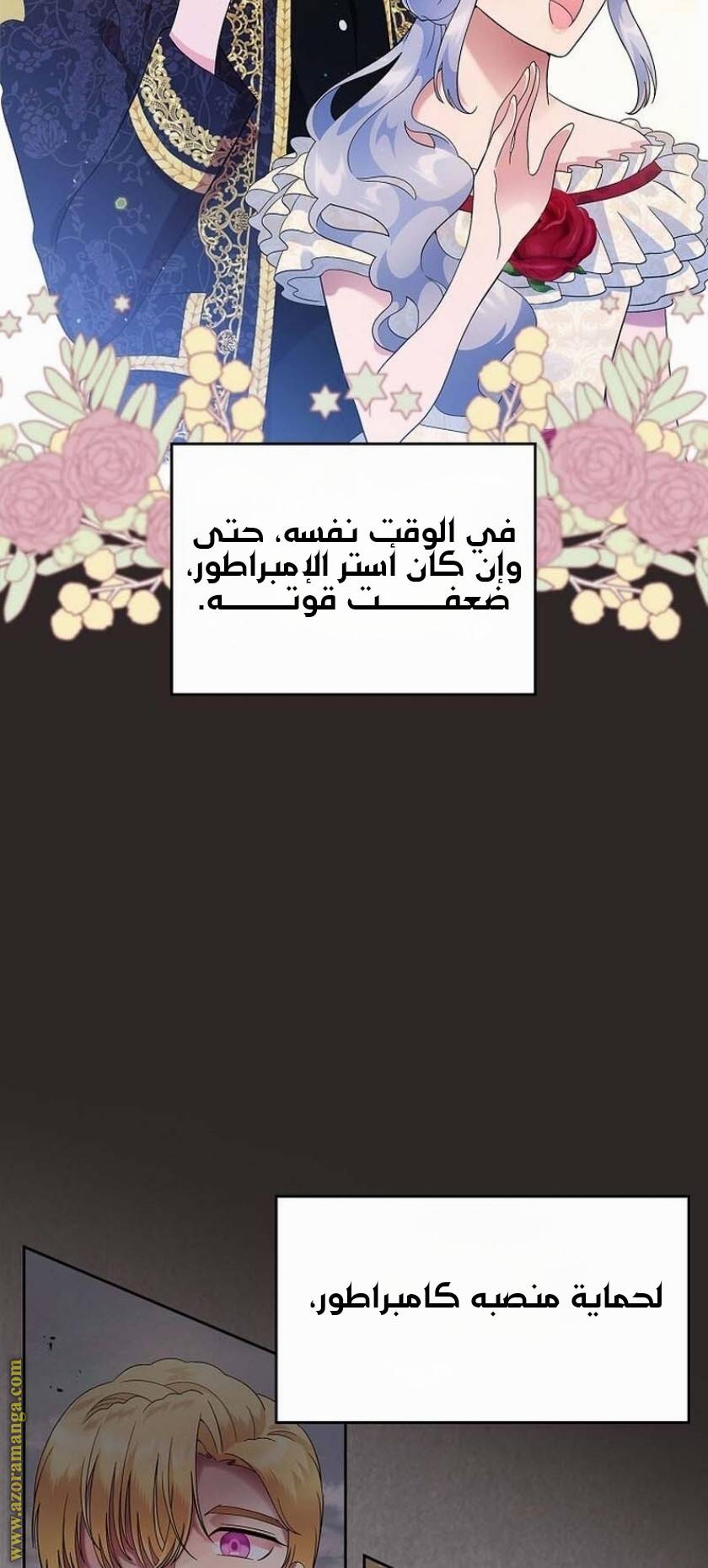 الصفحة 43