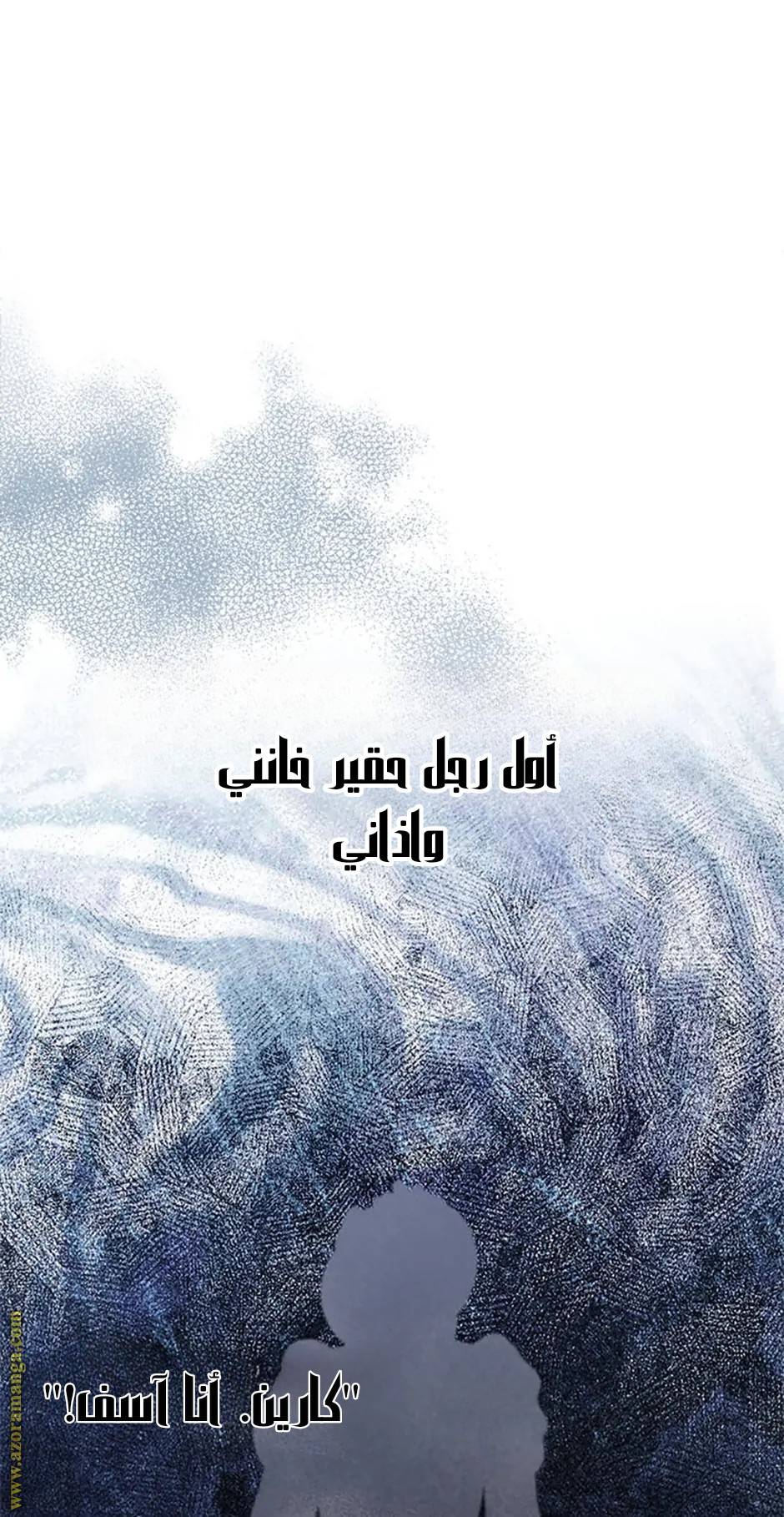 الصفحة 29