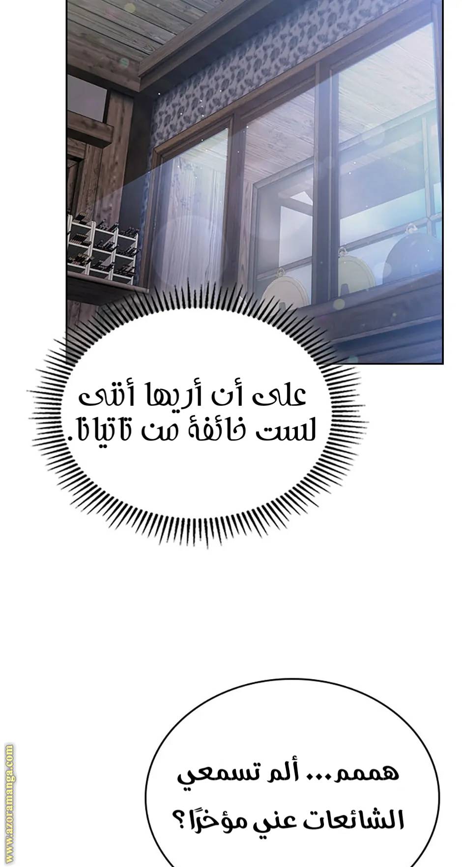 الصفحة 13