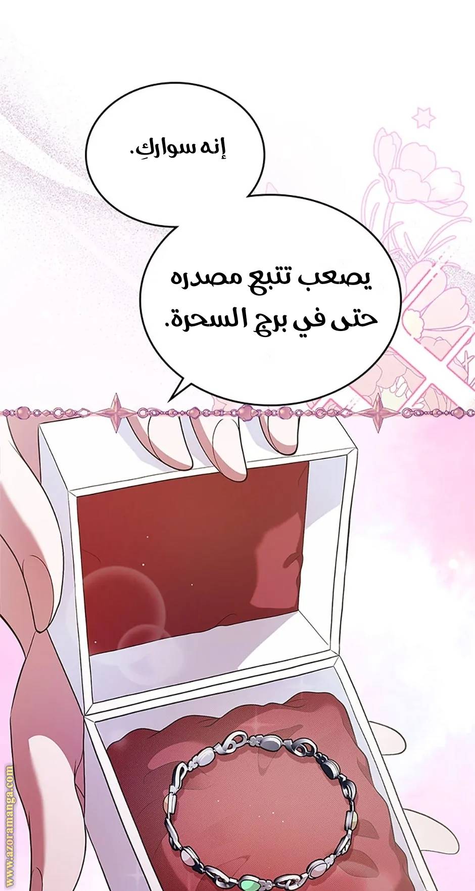 الصفحة 29